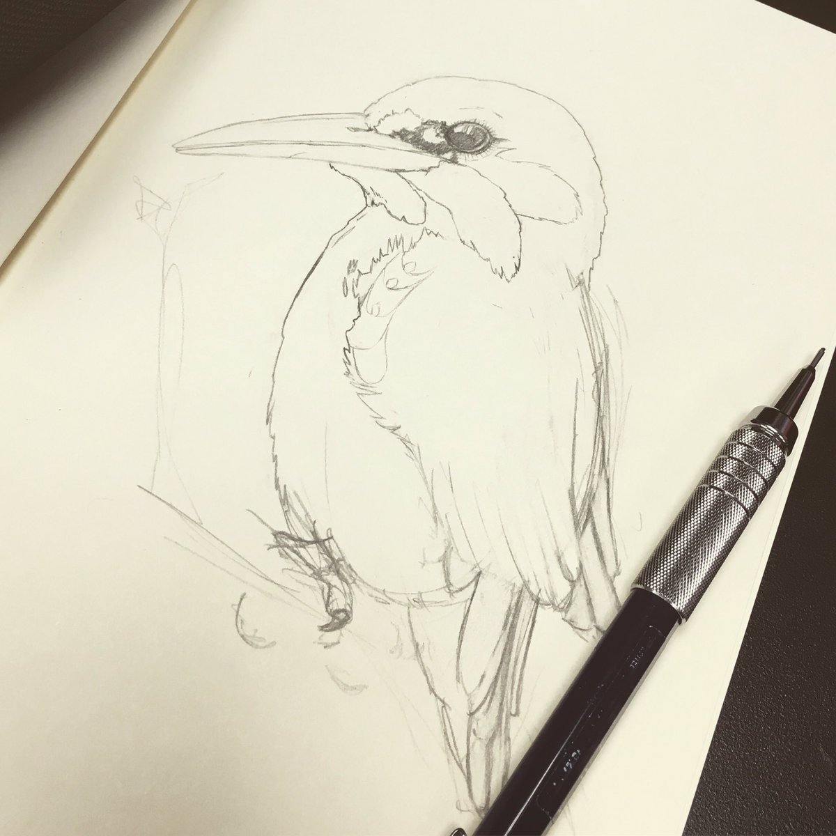 Kingfisher sketch, need motivation to draw more, any tips fellow artists? How do y'all do it!? #Motivation