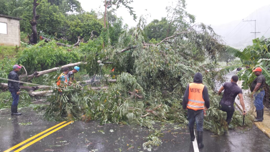 MOPCRD's tweet photo. Brigadas del programa de Mantenimiento de Carreteras habilitan paso en de la carretera Seibo-Miches, municipio Miches. #HuracánMaríaRD https://t.co/v5zPM3RIXq