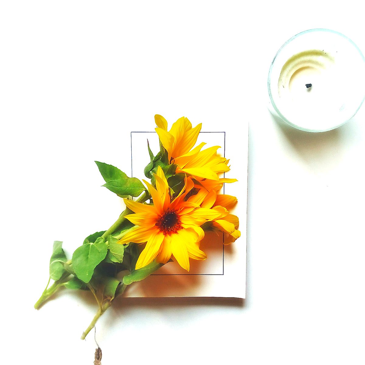 Antonia || Content (UGC) creator tweet media