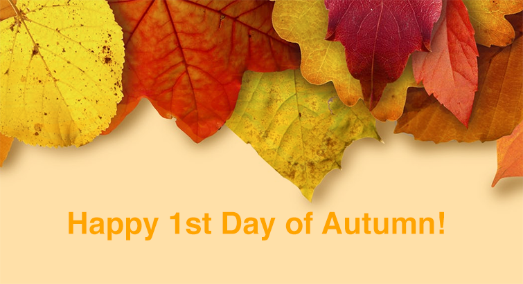 SavingStar's tweet photo. #PumpkinSpice #foliage #bestoffall #AutumnEquinox What is the best part of autumn? https://t.co/eWnOuKWUNt