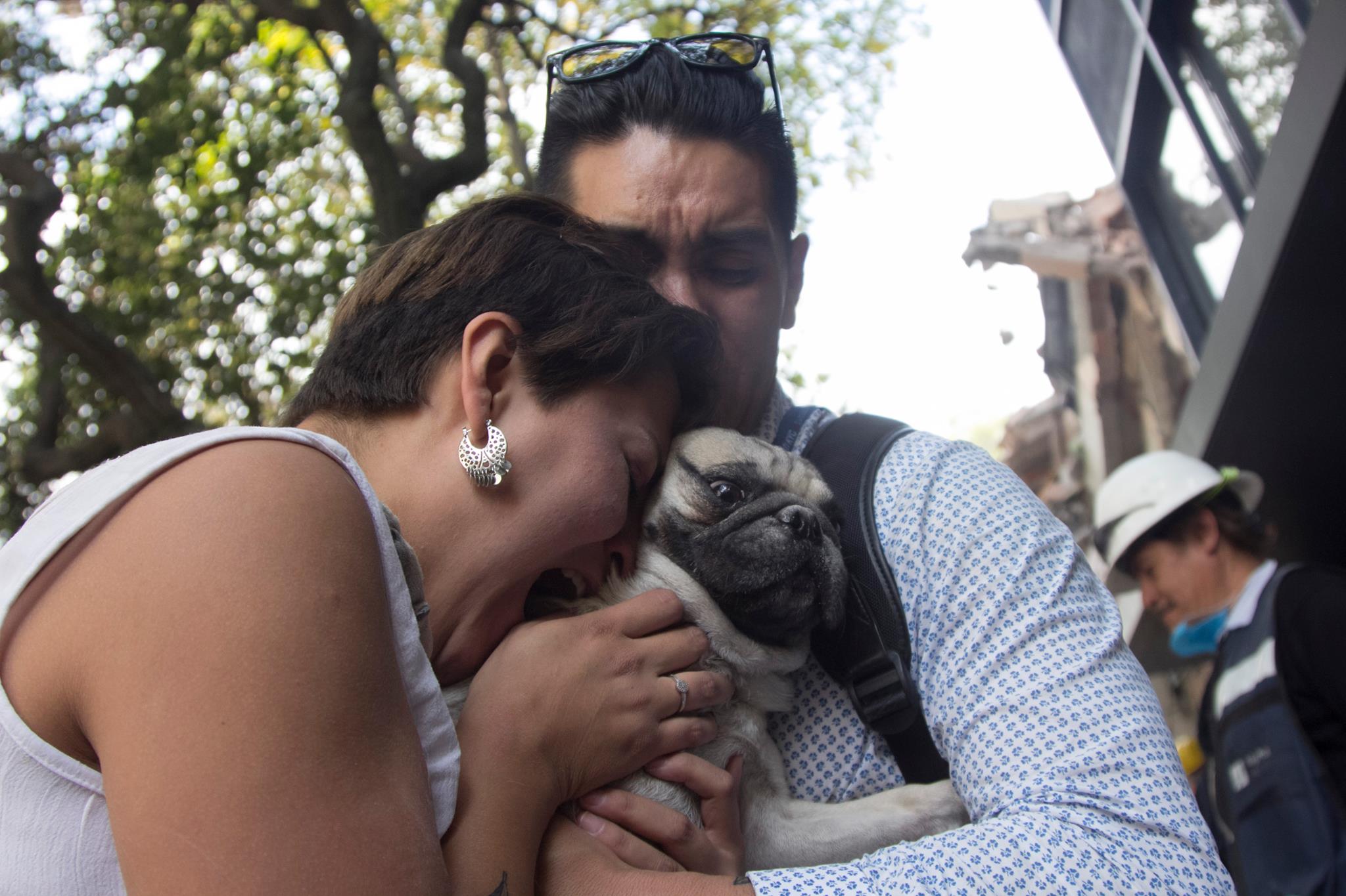 Doug The Pug on Twitter: