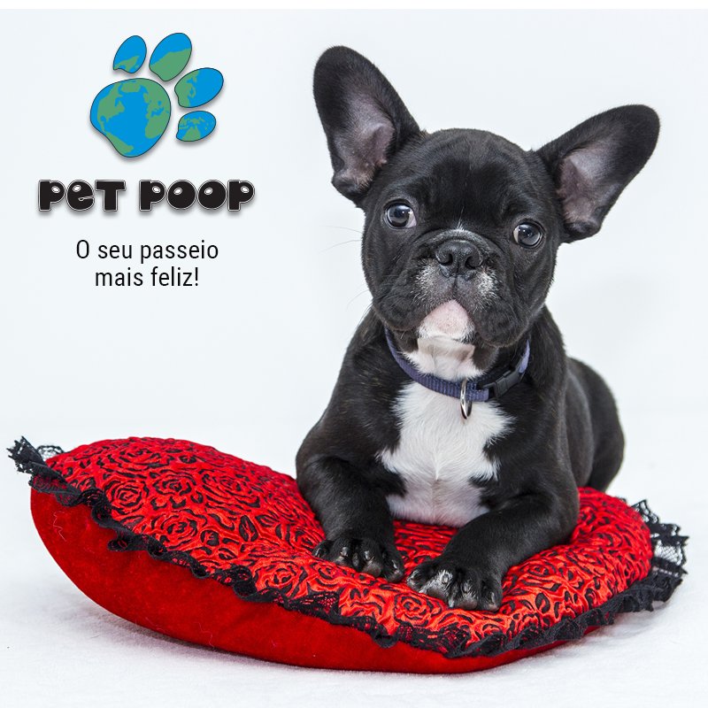 Se for passear com seu pet, não se esqueça do Pet Poop. Bom passeio!! 🐶 
#petpoop #pet #4patas