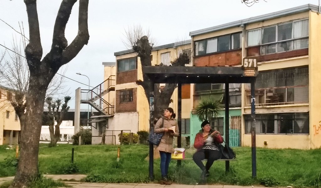 JulioRomero_mdp's tweet image. También la siembra llegó al Centenario!
#SiembradeLibros 
#LibrosPerdidosMDP 
@JuanReyMDP @SBonifatti @LBonifatt