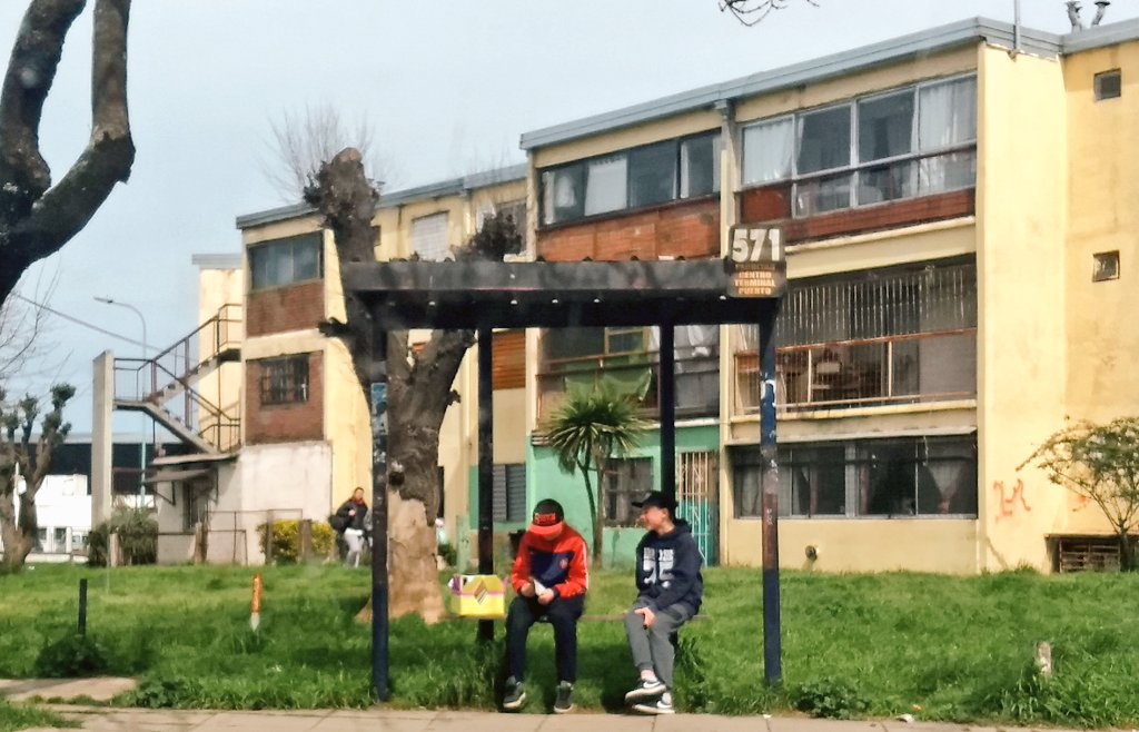 JulioRomero_mdp's tweet image. También la siembra llegó al Centenario!
#SiembradeLibros 
#LibrosPerdidosMDP 
@JuanReyMDP @SBonifatti @LBonifatt