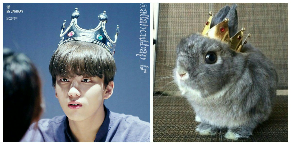 allaboutbap_tr's tweet photo. Özelobaby'ye fotoğrafı bulmamda yardımcı olduğu için teşekkür ederim. 😘
#Youngjae #bunny #rabbit #BAP #BestAbsoltePerfect #baby #kpop https://t.co/m1ZZvxwUnL
