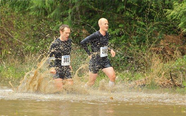 Pure Chiropractic tweet media