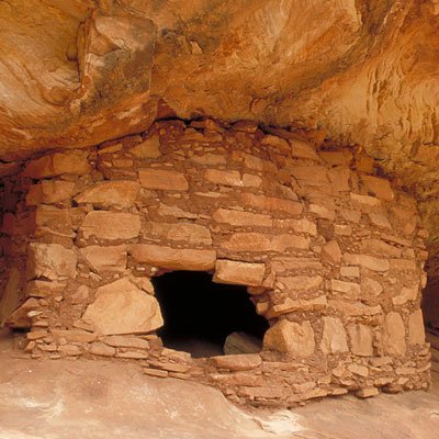 Eller MIS tweet media