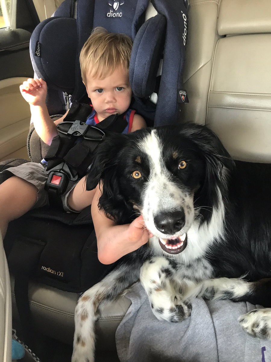 TheoReactionss's tweet image. Psh... this dog thinks he's cuter than me. Not a chance. #BabiesAreCuterThanPuppies