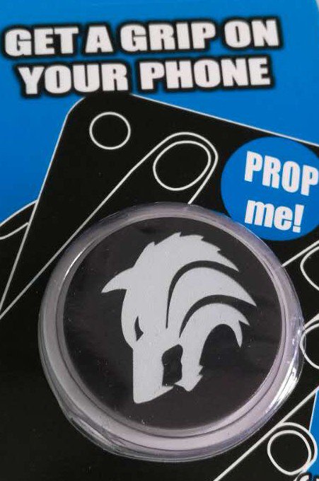 pwladywolves's tweet photo. Who needs one? See one of our Lady Wolves basketball players to get yours today. $10 https://t.co/MQ9uGchqzT