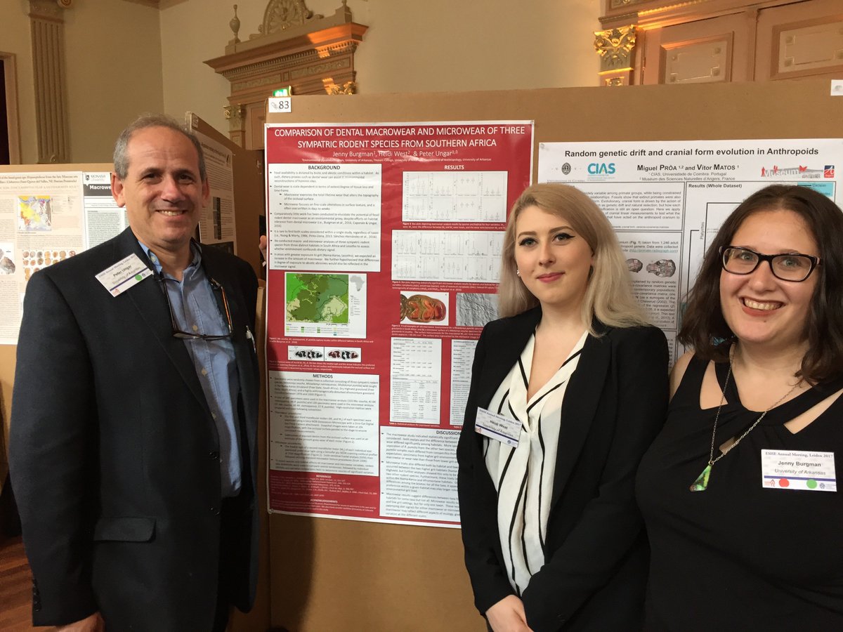 UarkHonors's tweet image. Whoa - Jenny Burgman, @PeterSUngar and honors student Heidi West are in the Netherlands presenting their work on human evolution!