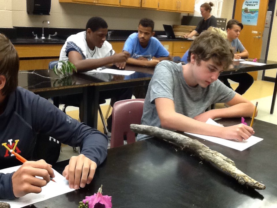 LINC5_LHS's tweet photo. Analyzing living and non living :Biology https://t.co/VjpdwVc0K6