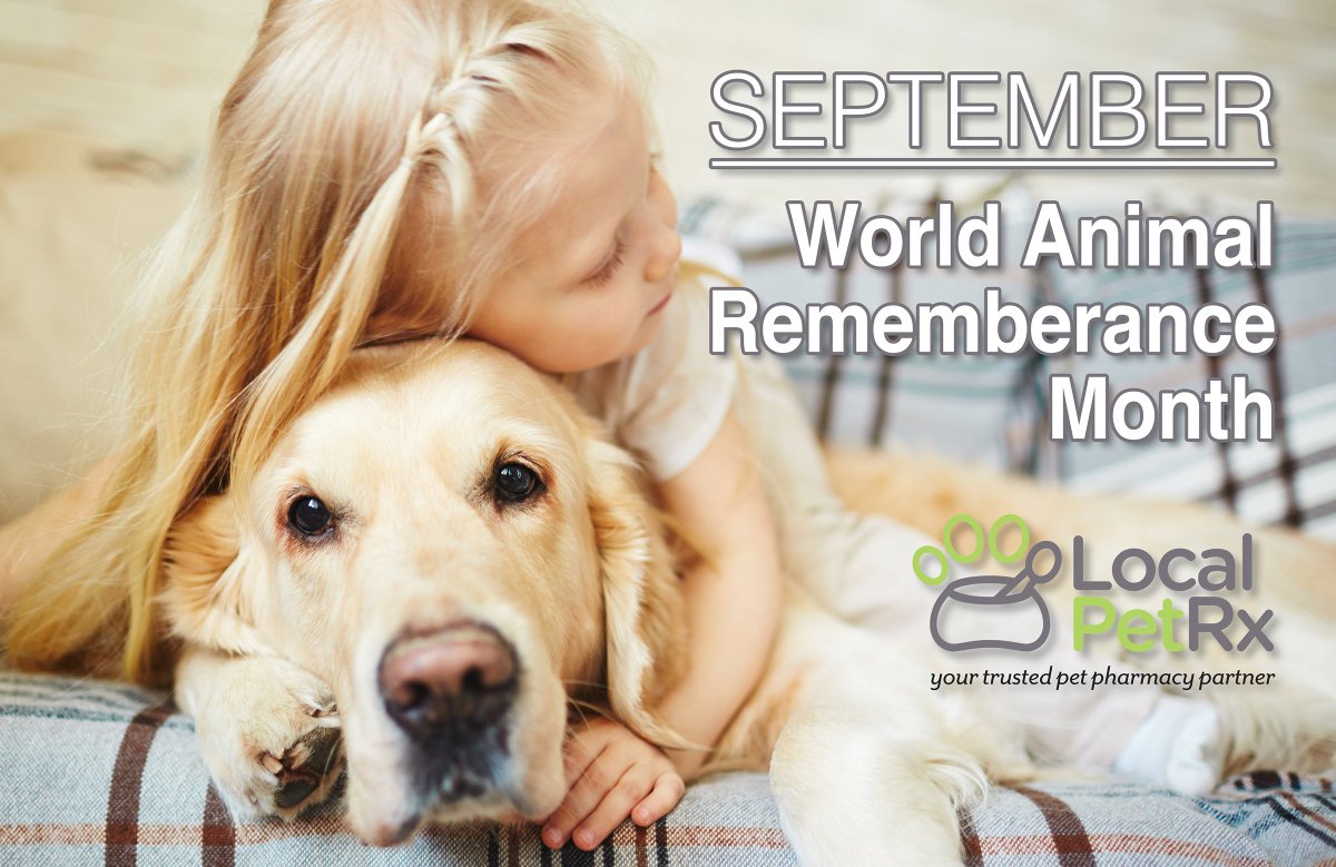 MyLocalPetRx's tweet photo. Remembering our beloved pets, fondly! #petrememberancemonth #petrememberance #alwaysmissed #petsremembered #alldogsgotoheaven https://t.co/kZyg4dlgyk