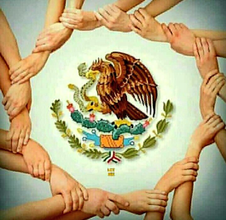 cuatrovecesamor's tweet image. Brasil Orando por ti México🙏
#ForcaMexico