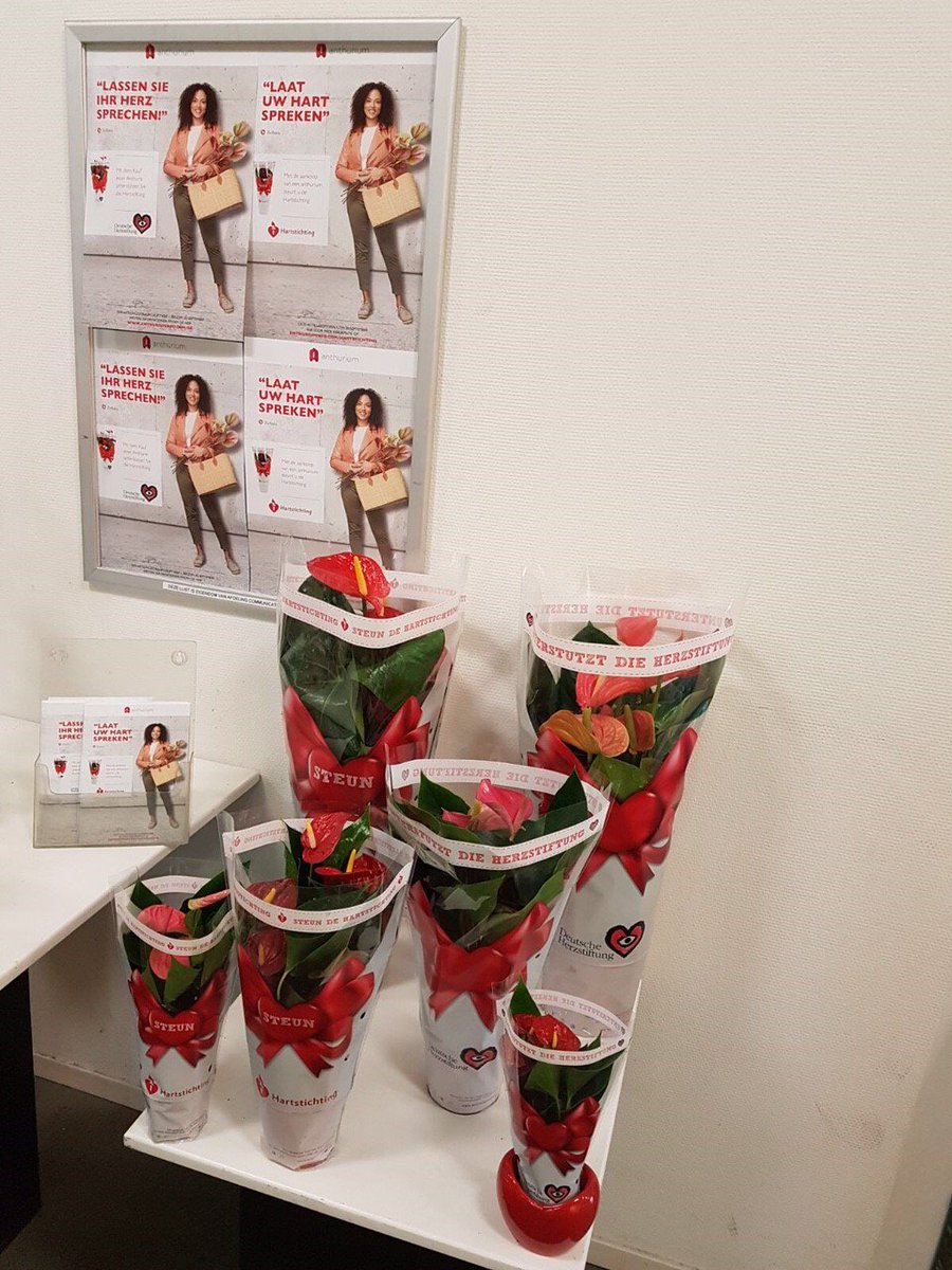 Doe mee! Koop in september een potanthurium en steun de <a href="/Hartstichting/">Hartstichting</a>. Meer info: presentaties op de klokken &amp; via ow.ly/hamP30fbefs