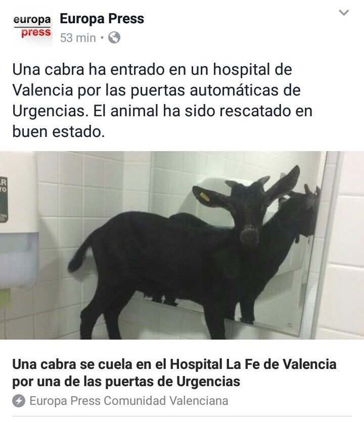 Cuando te sabes las zoonosis demasiado bien pasan estas cosas
