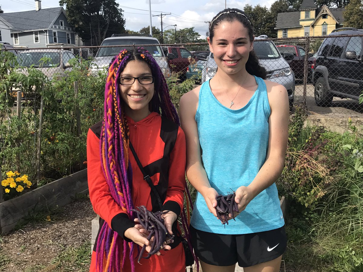 Purple beans from the BHS garden?!??