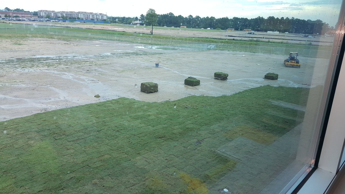 Betsy janese tweet media