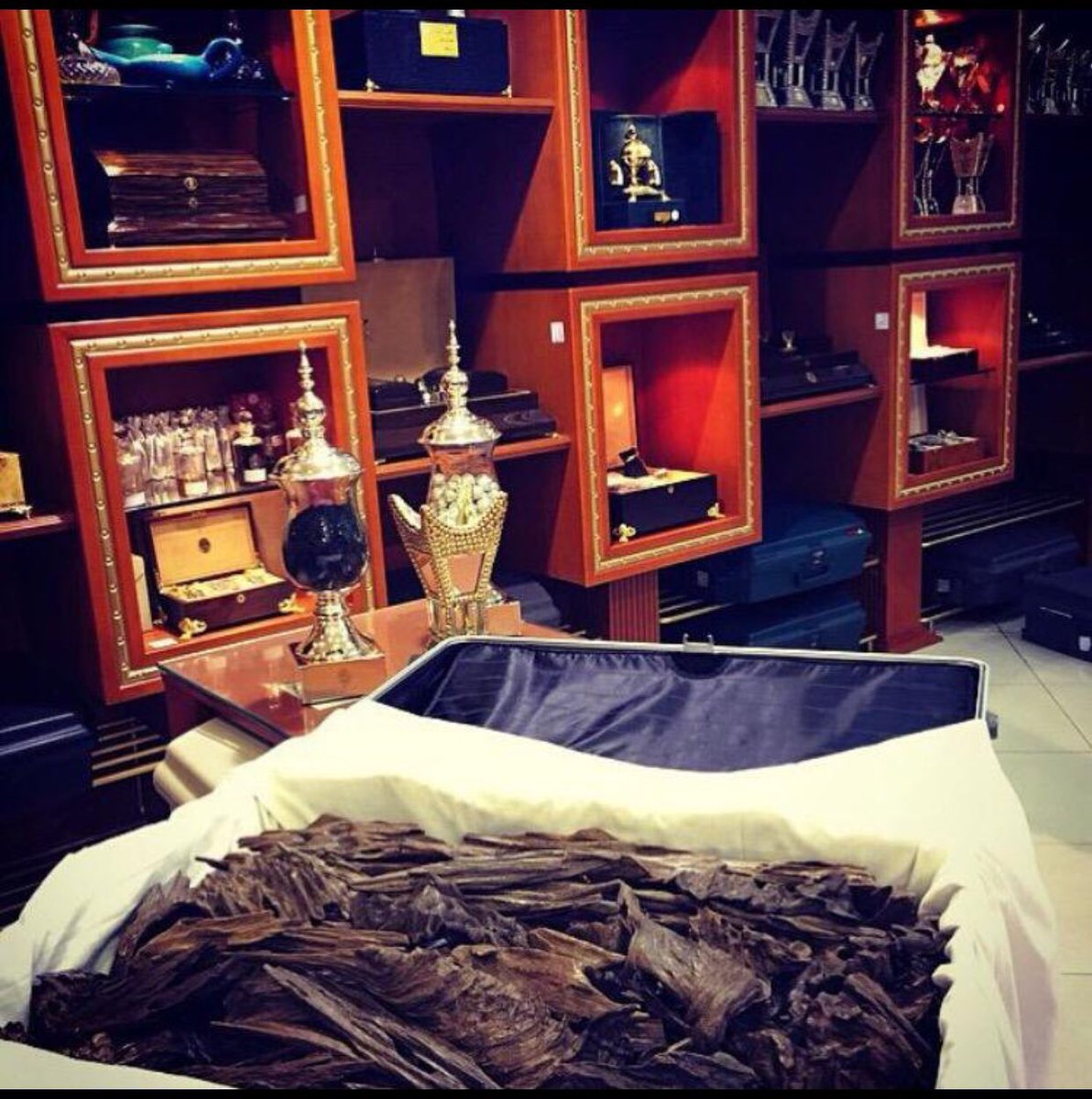 سعد باشماخ للعود يهنئكم باليوم الوطني السعودي و نتمنى لكم أعواما مديدة مليئة بالازدهار و الأمان #اليوم_الوطني_السعودي٨٧ #سعد_باشماخ_للعود