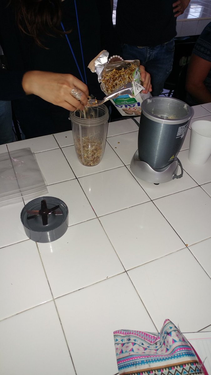FcoLenarduzzi96's tweet photo. Practica germinación de lentejas a una semana ( Bote Tetrapack) enraizador. 
@agorajavier 
@javierdealba4s https://t.co/kc0SvdSjIE