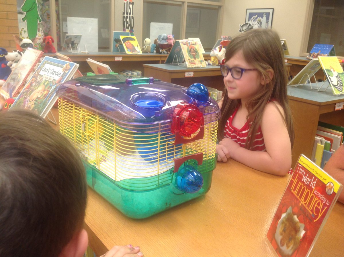 Excited to see our friend, Rosie! #hpereads #rosiereads <a href="/HPEPatriots/">Harrison Parkway</a>