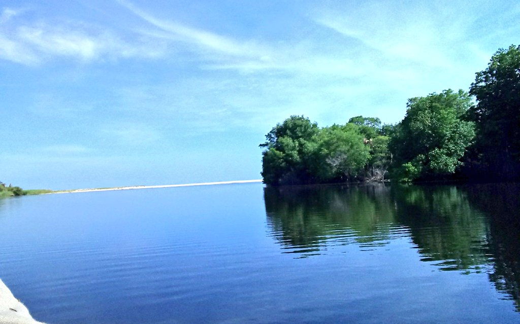 JUCEPE (@forestaljucepe) on Twitter photo 