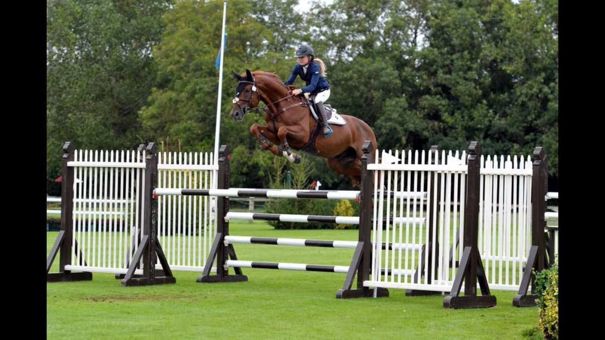 monksstud's tweet photo. GO FOLLOW OUR NEW INSTAGRAM ACCOUNT 
monksshowjumpers https://t.co/21Xt22q4OZ
