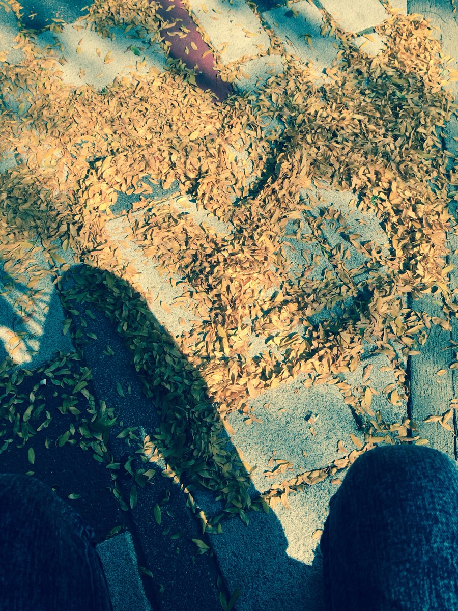 ANNACHERY2's tweet photo. Perfect timing!
The wind made this masterpiece! https://t.co/BtaTDnBQUg