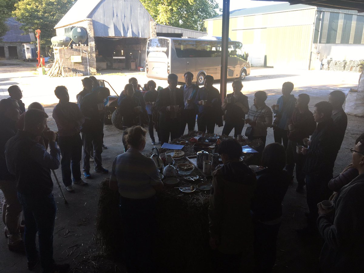 kagrimccann's tweet photo. Had a great evening with the team from #slaneymeats &amp; @bordbia #origingreen with their Chinese visitors to see our cows and beef cattle https://t.co/3meZD4POB9