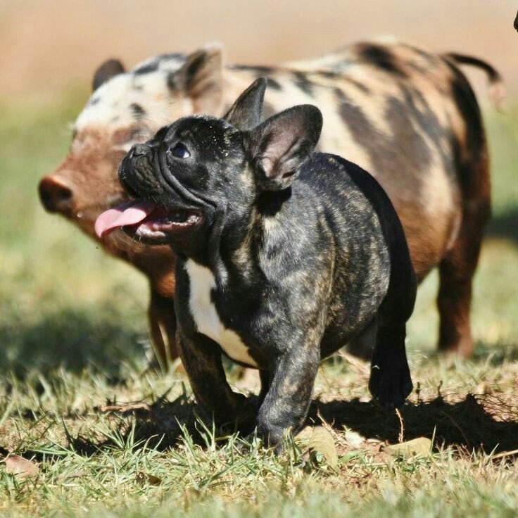 Boa tarde betas!!!
Vamos ajudar no REPIN 🤗