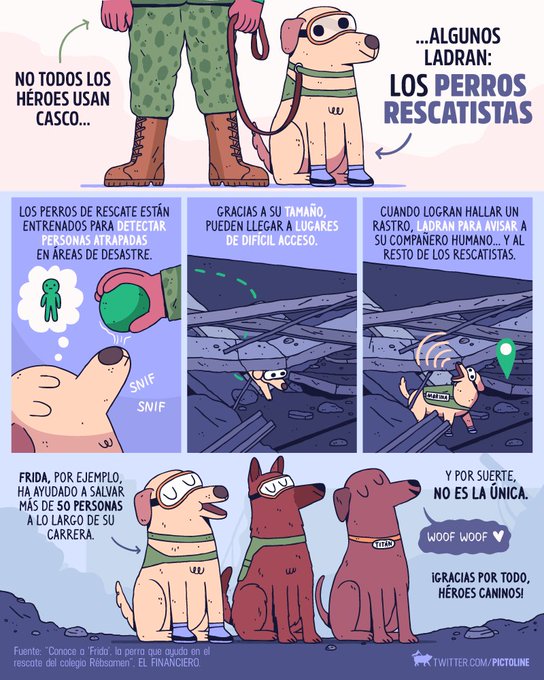 Ver imagen en Twitter