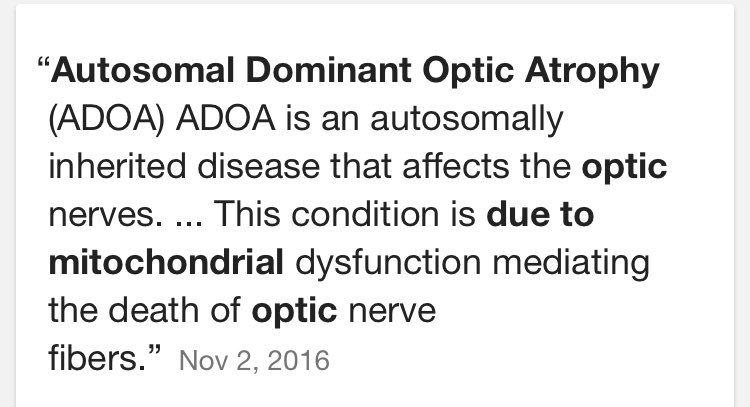 chloraplast_'s tweet photo. next time you you're considering voting mitochondria think about your eyes #tryagainnexttime #Organellewars @Liv2luvLorenz @mightychondrio https://t.co/kCafHexup3