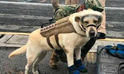 Esta Frida sí existe 

Y ES UNA CHINGONA

#FuerzaMéxico