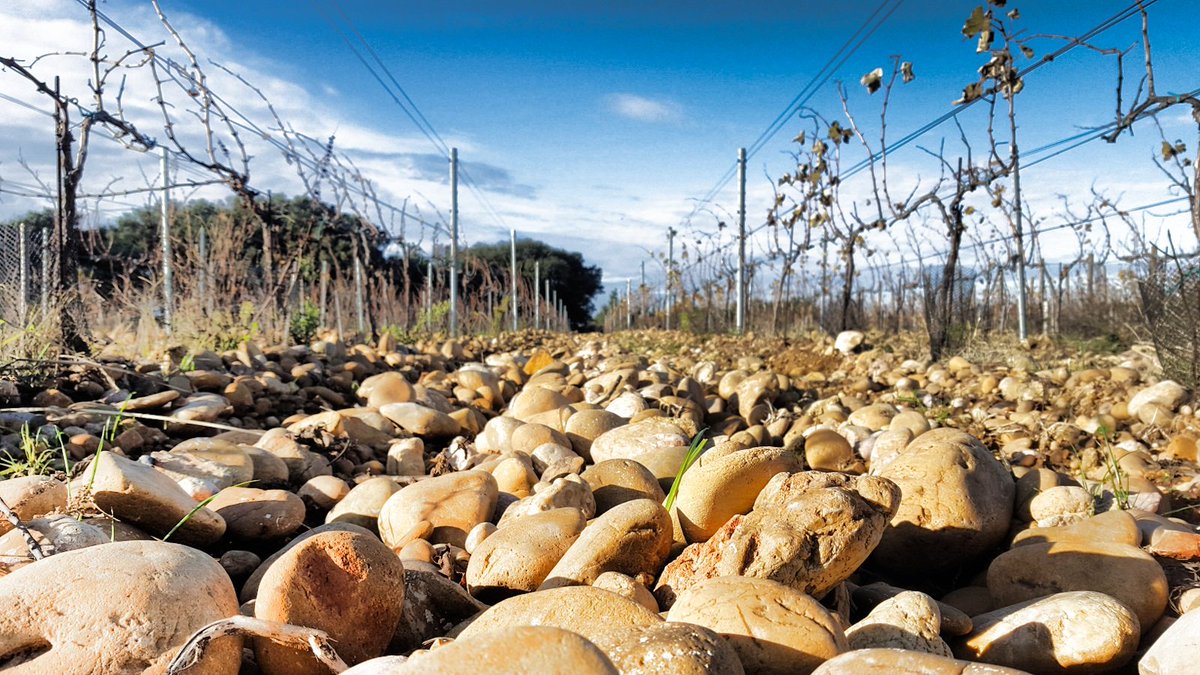 16hours to take-off #France #ElsenburgTour <a href="/alanwinde/">Premier Alan Winde</a> <a href="/boyboybruwer/">Boy Boy Bruwer</a> <a href="/AlbertNiekerk/">Albert Van Niekerk</a> <a href="/Joshvanblom17_/">Joshua van Blom</a> <a href="/estiandewet/">Estian</a> <a href="/JansenDaniela/">Daniela Jansen</a>