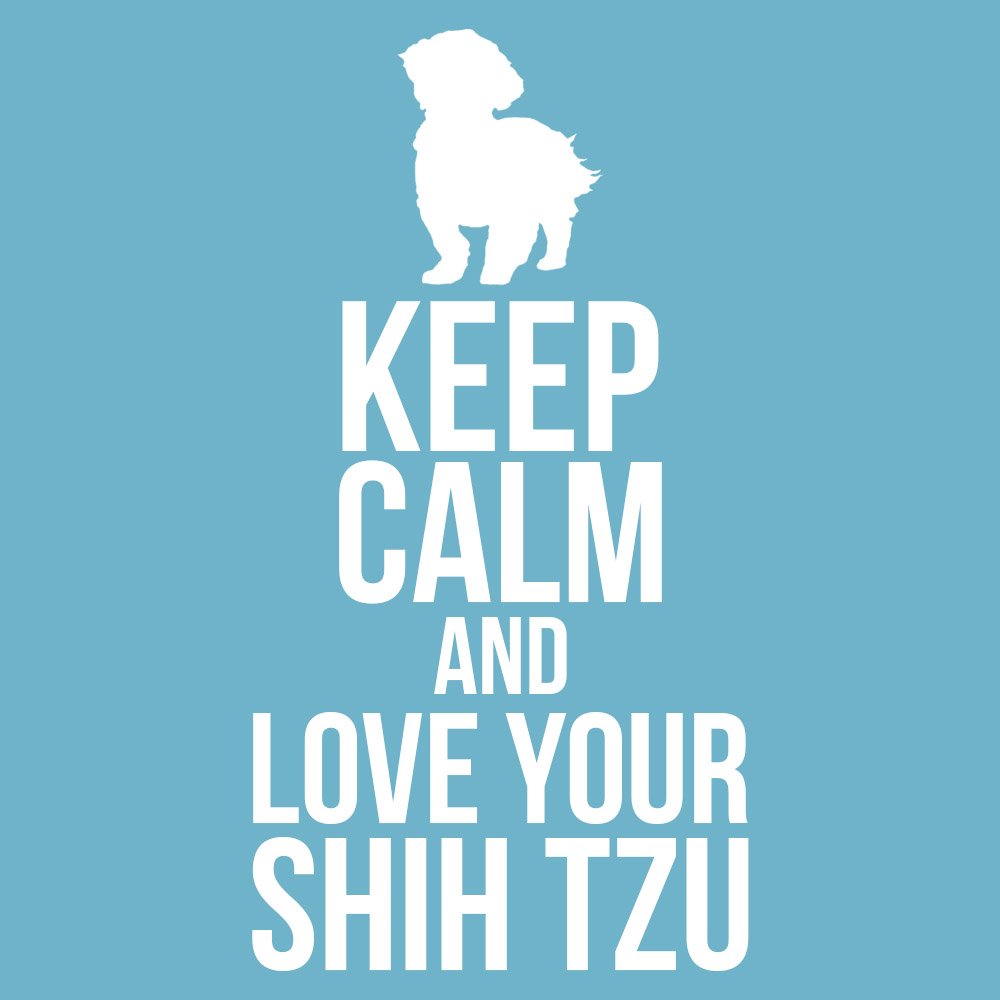 ForeverShihtzu's tweet photo. Keep calm and love Shih Tzus! 🐶😎😍
#ShihTzu #ShihTzuLove #Pets #Cool #Dogs https://t.co/V43Ji9zTaJ