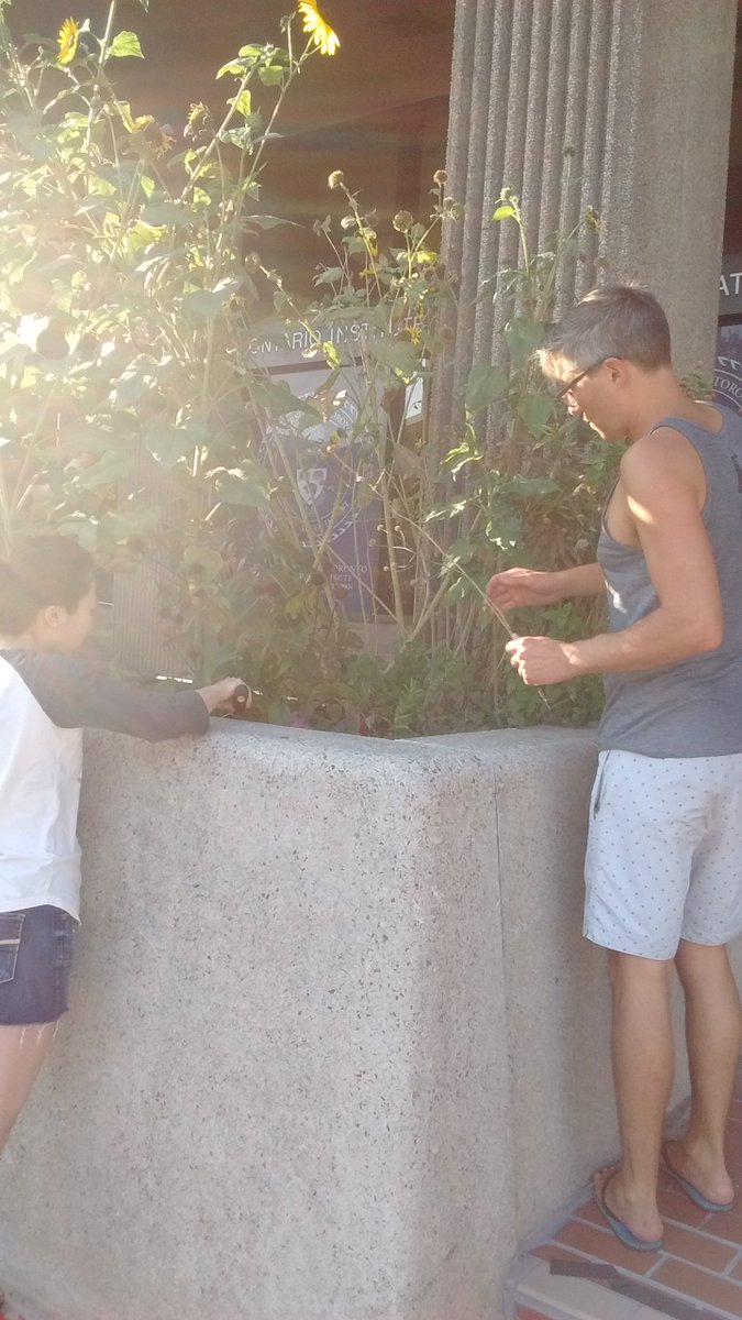 OISE_SCAN's tweet photo. Some of the new Learning Garden Team Members care for our garden. OISE students are invested in their garden #learnOISEese https://t.co/GqlhNC54b8