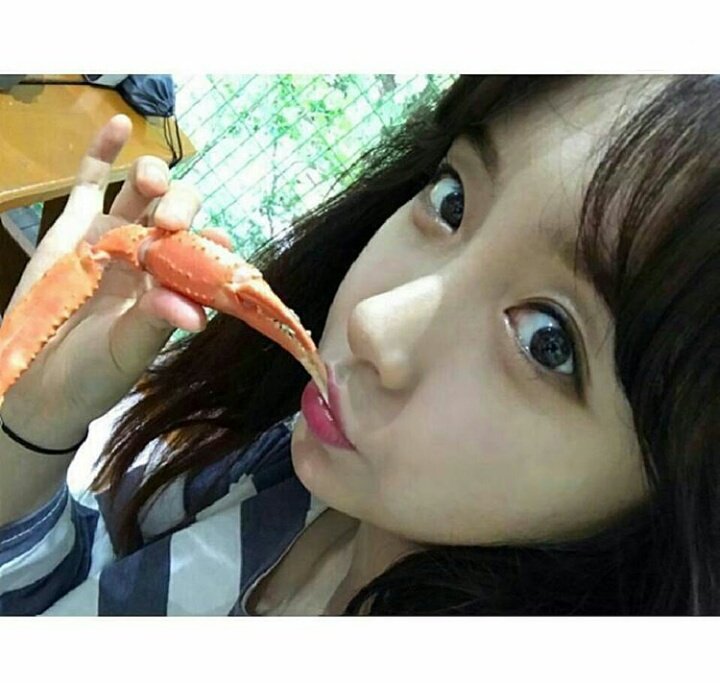 BulldokBrazil's tweet photo. [GENIE|21.09] - Atualização da Genie em seu instagram se alimentando! (15 de setembro). https://t.co/Thi81CgS3l