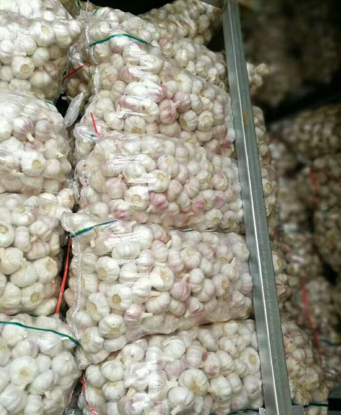ChineseGarlic's tweet photo. If you need garlic, please contact me.
WeChat  18315718398  
E - mail  ChineseGarlic@yeah.net https://t.co/0tvtg0xI9L