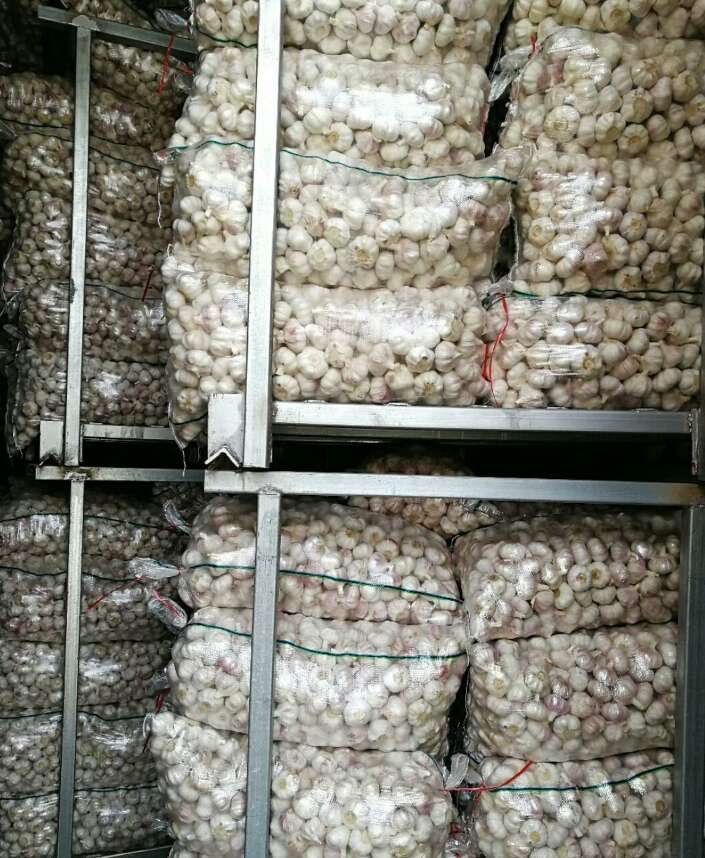 ChineseGarlic's tweet photo. If you need garlic, please contact me.
WeChat  18315718398  
E - mail  ChineseGarlic@yeah.net https://t.co/0tvtg0xI9L