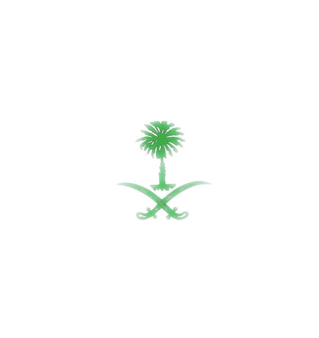 d9f's tweet photo. -
قبل أن تفكر في أذية النخلة حدق جيداً بالسيفين .
#KSA_❤️ https://t.co/OAJFnhq8CX