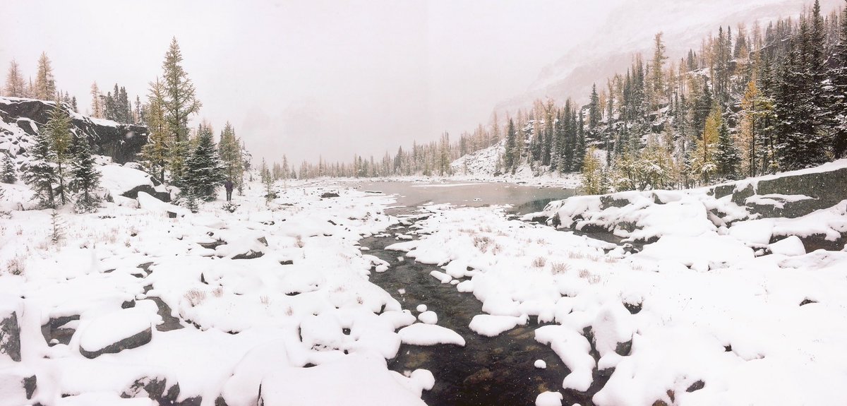 gwion18's tweet photo. Lake O'Hara Sept 20th. Thank you @YohoNP for keeping this place in such pristine condition. Loved the snow. #LakeO'hara #ExploreBC #hiking https://t.co/0dBhKwtuJn