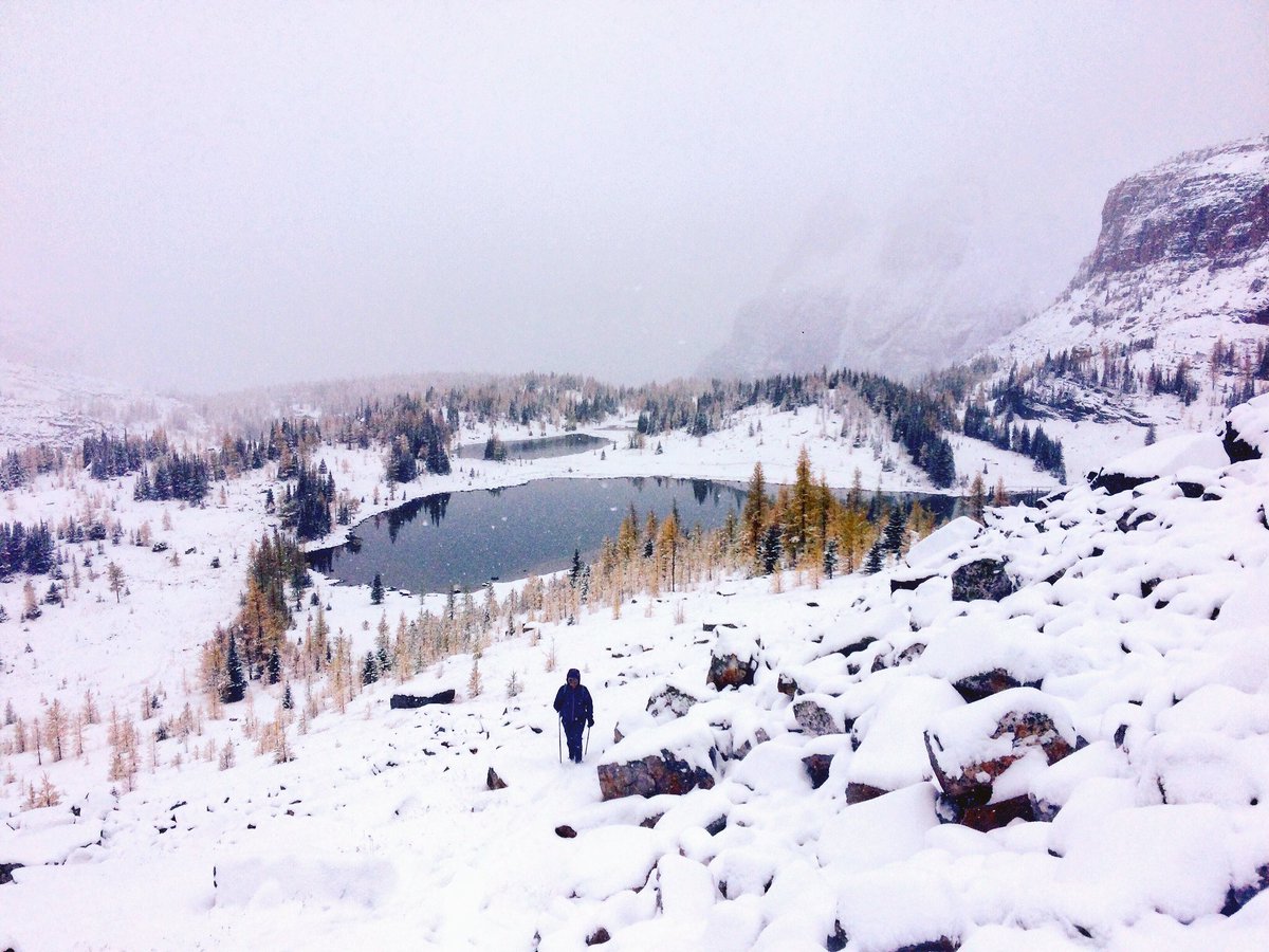 gwion18's tweet photo. Lake O'Hara Sept 20th. Thank you @YohoNP for keeping this place in such pristine condition. Loved the snow. #LakeO'hara #ExploreBC #hiking https://t.co/0dBhKwtuJn