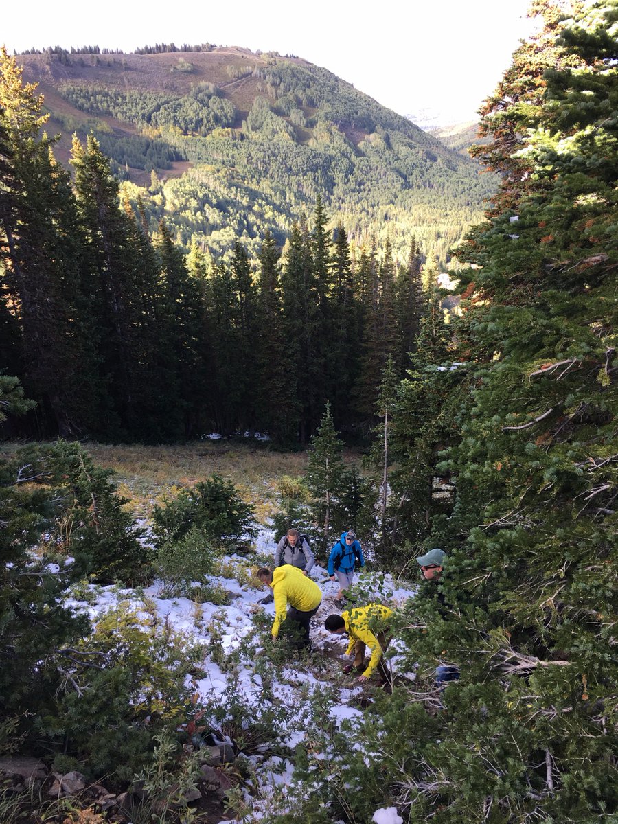 BlastXConsult's tweet photo. Fun day of hiking at #Validate2017 experience outing! Blast CEO @kaydenkelly having a great time with @jaym0n, Riza Zaman, and the group https://t.co/prKPRGIKlI