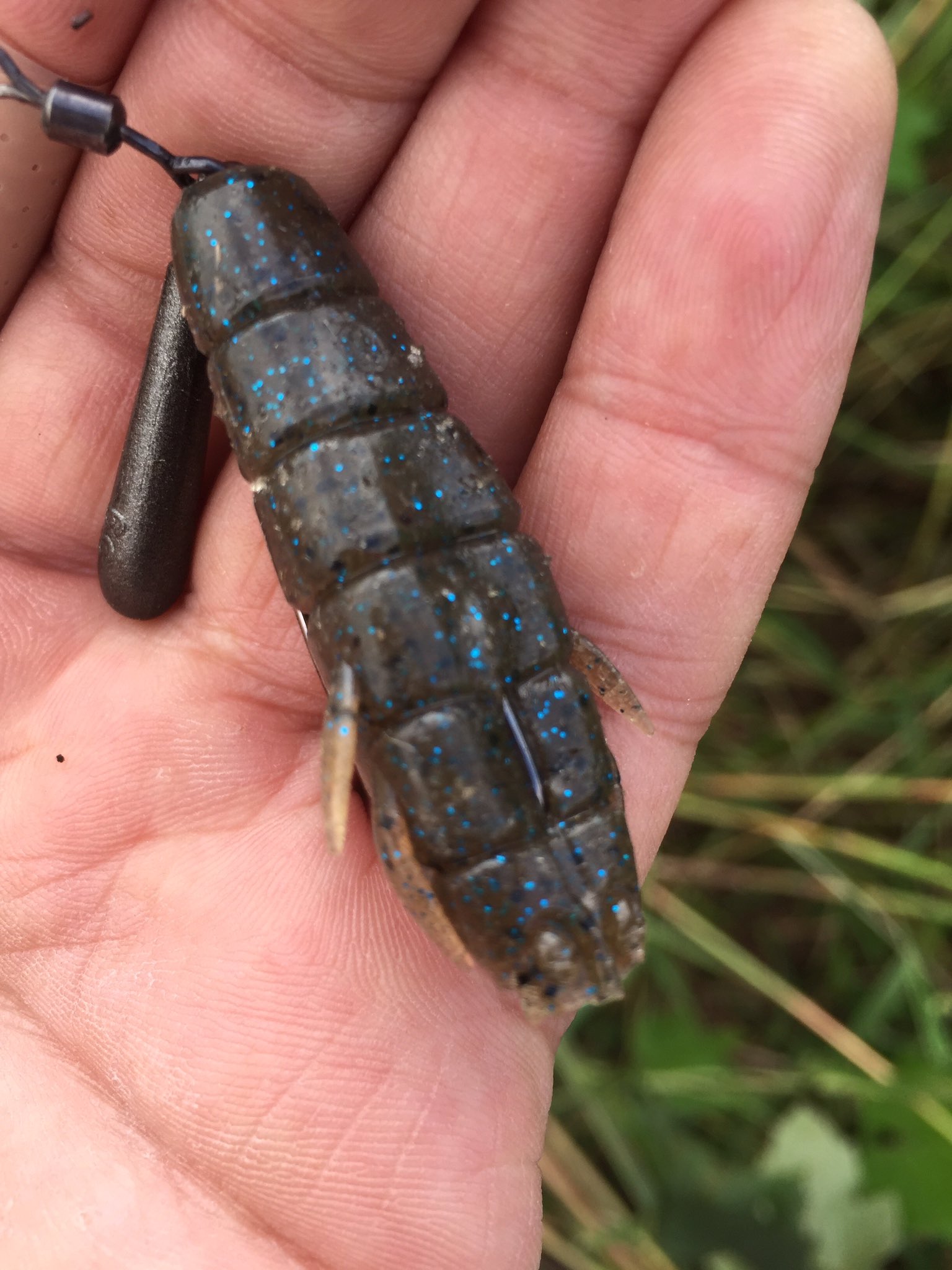 Gonzalez K ドライブビーバー3 5 直リグ 御大自らプロデュース コウタロー先生の穴埋めが難儀なんだろな バサロの動きがエグいがホグ系のニュースタンダードって言われると そこまではどうだろ ちょっとカバーに入れたら軽く両腕も