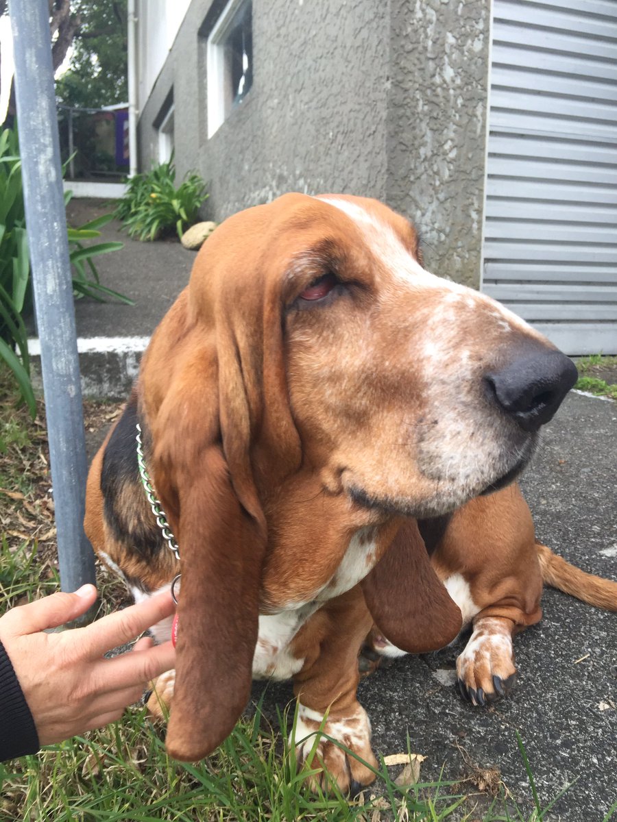 It's the last day to enrol and vote. Guinness will be VERY disappointed if you don't vote. Pretty sure he also wants you to #PartyVoteGreen