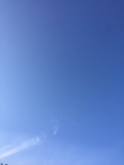 brittabopp's tweet photo. #skydayproject #whitehousestudio https://t.co/rjDqv87HJf