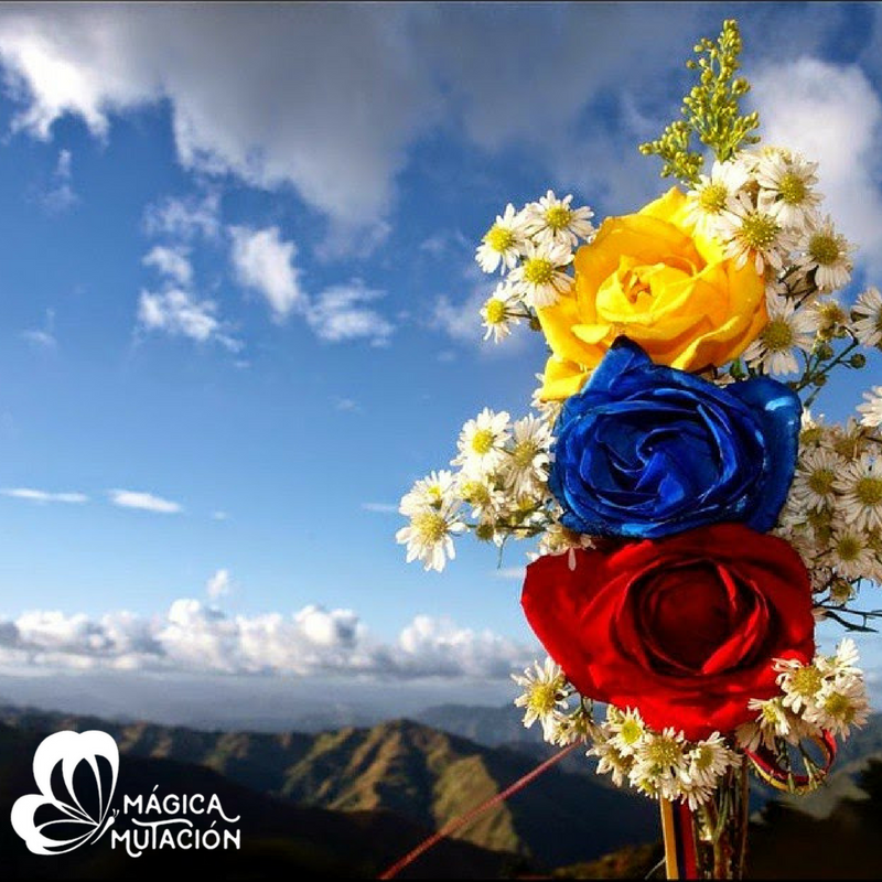 magicamutacion's tweet photo. La belleza que posee nuestro querido país no tiene igual. Queremos llevar sus colores a las prendas.
#SoyMágicaMutación 
#HechoEnVenezuela https://t.co/yTmi7rzvGN