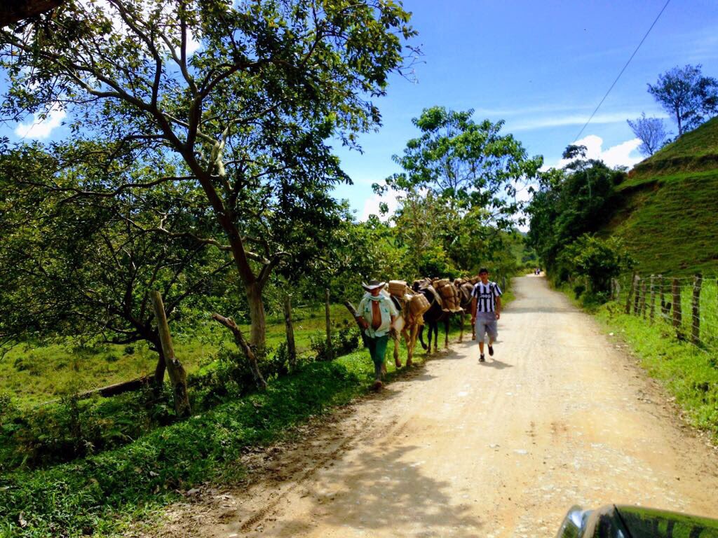John Jairo Arias Loz (AriasLoa) Twitter