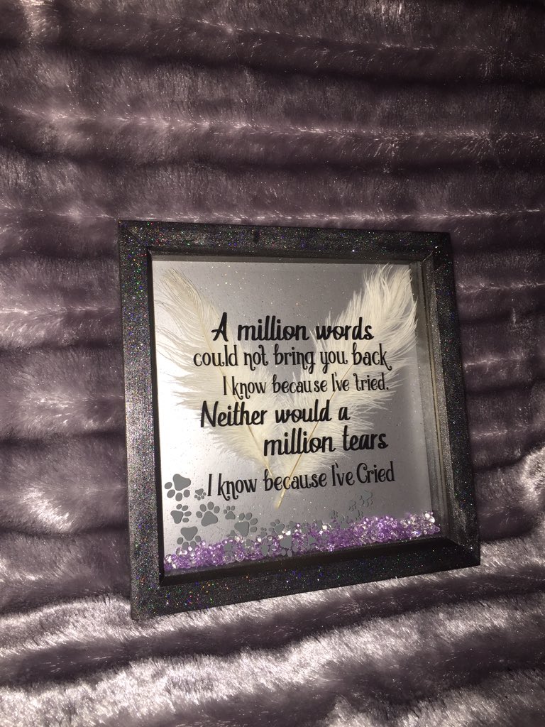 Danceslikehippo's tweet image. #memoryframe #memorial #pet # dog #cat facebook.com/ladyjanesmemor…