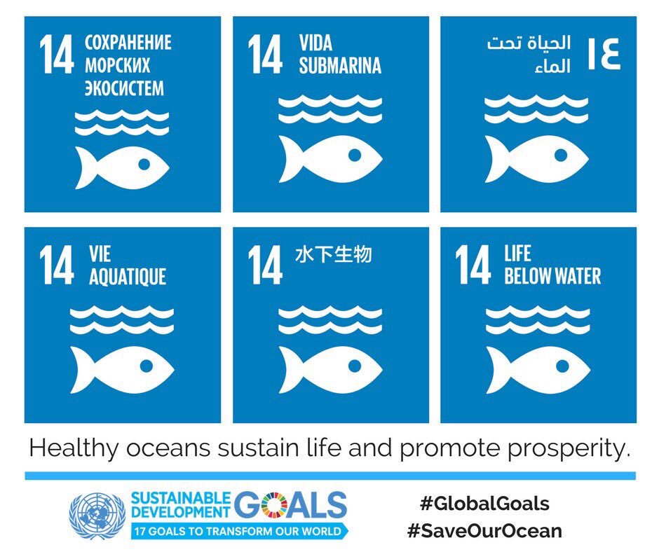 SpainatIMO's tweet photo. Hoping that #III4 @IMOHQ works for this leaving no one behind @GlobalGoalsUN #SDG14, #OurOcean https://t.co/zMrrxqDzt6