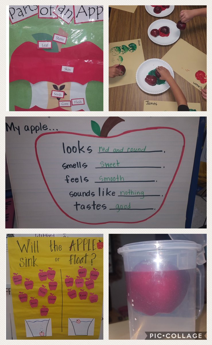 HindashSLPA's tweet image. @GodleyElem @godleyisd Apple week means Fall is just around the corner (like tomorrow)! #applescience #applepainting #classof2031 #PreKisfun